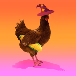 chikn #3925