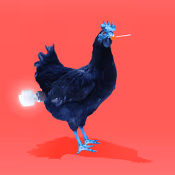 6833