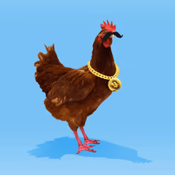 chikn #3830
