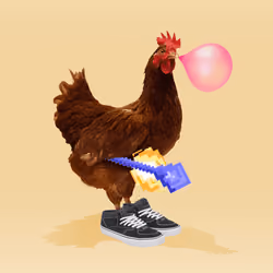 chikn #9389