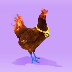 chikn #9526