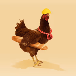 chikn #407