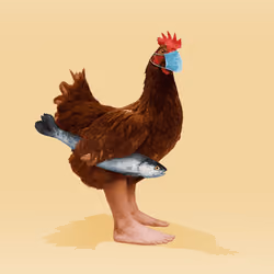 chikn #3183
