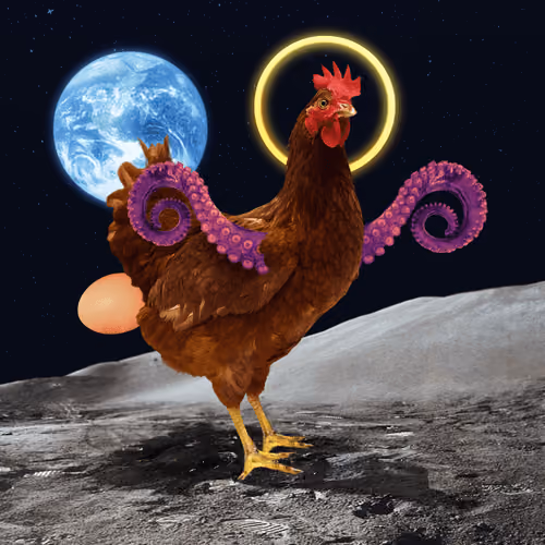chikn #242