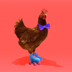 chikn #9624
