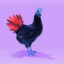 7983