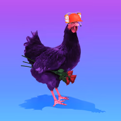 chikn #68