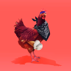 chikn #6343