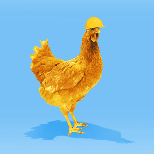 chikn #3529