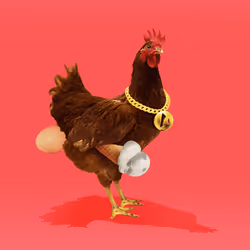 5855