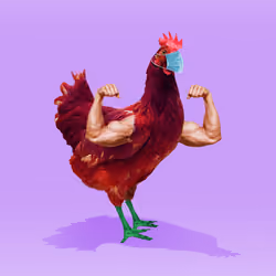 chikn #9670