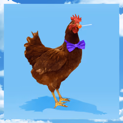chikn #7550