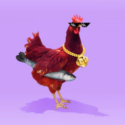 chikn #4033