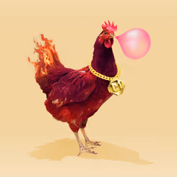 chikn #9175