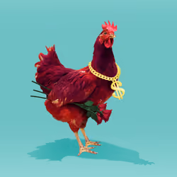 chikn #6468