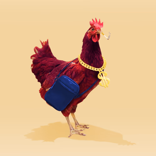 chikn #6443