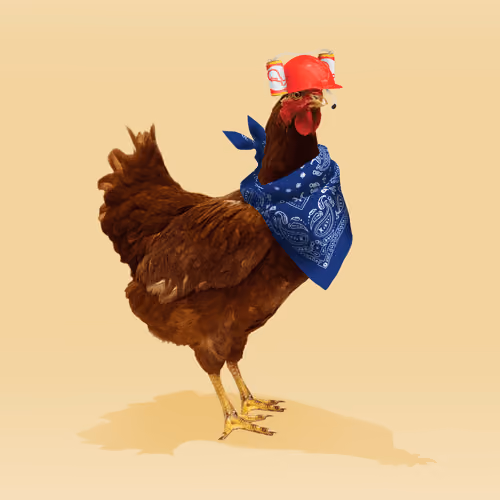 chikn #6590