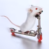 Mouse Racer