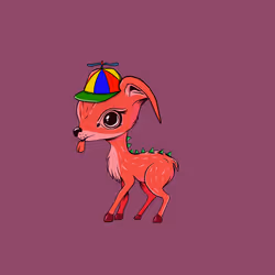 DikDik 377
