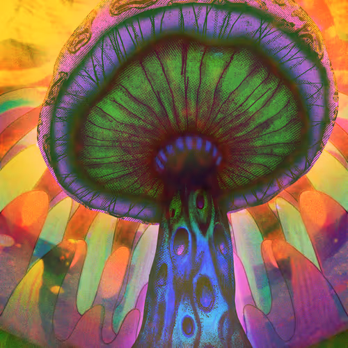 1001 Mushrooms