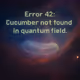 Error 42