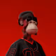 Cool Monkey - PBd6mZbI0q