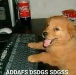 ASDASDASD XD
