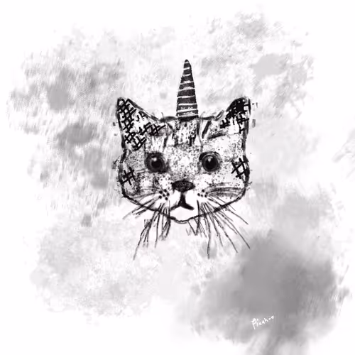 Picakitty