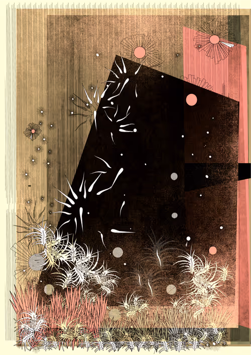 Item #2000000000000000015 Media