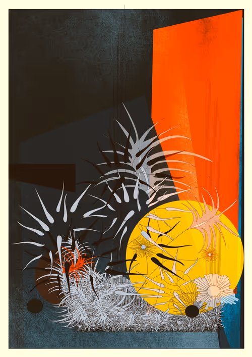 Item #1000000000000000015 Media