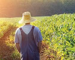 Farmer