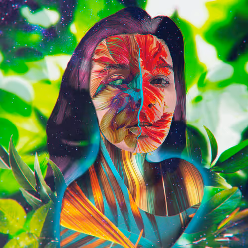 vladsimages's Collection