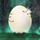 Rare Egg Society