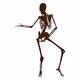 Skeleton