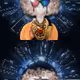 594
