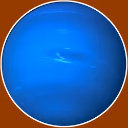 323