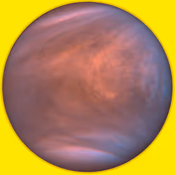 243