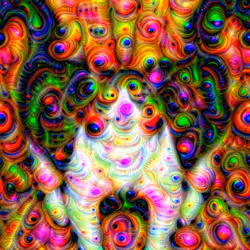 here kitty kitty
