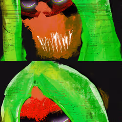 858