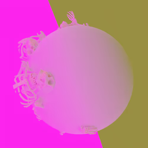 Item #5 Media