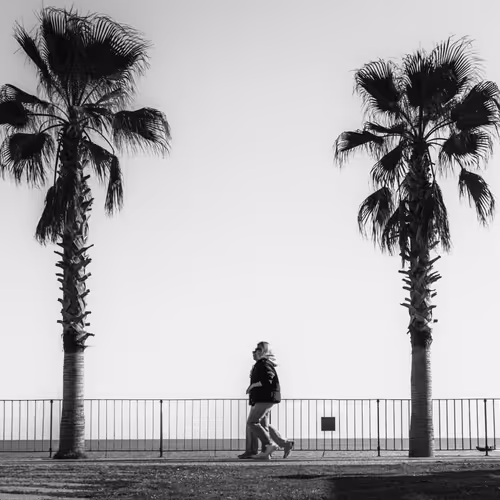 Life in Frame