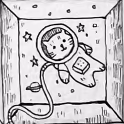 Moon Cat