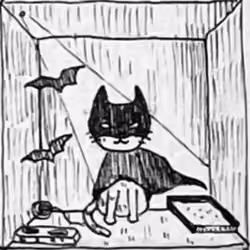 Bat Cat