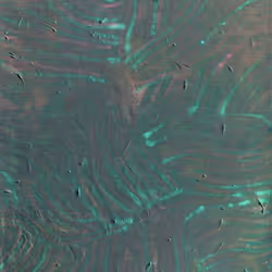 177000000000000000000