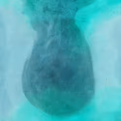 167000000000000000007