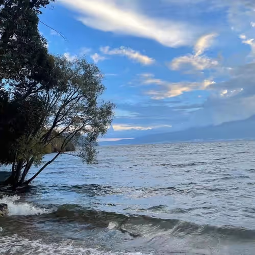 0xa79d196bbc119e5dd7f562078a82954ee28aac56