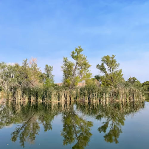 Reflections of the Sedona Swamp