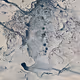 Abstracts