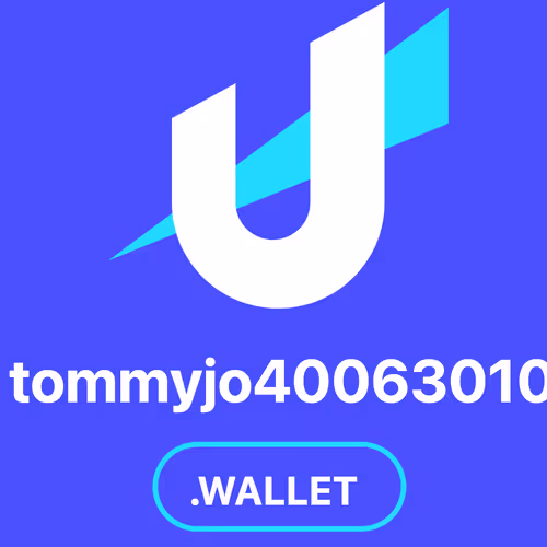 tommy jo