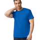 DryBlendAdultT-ShirtwithP